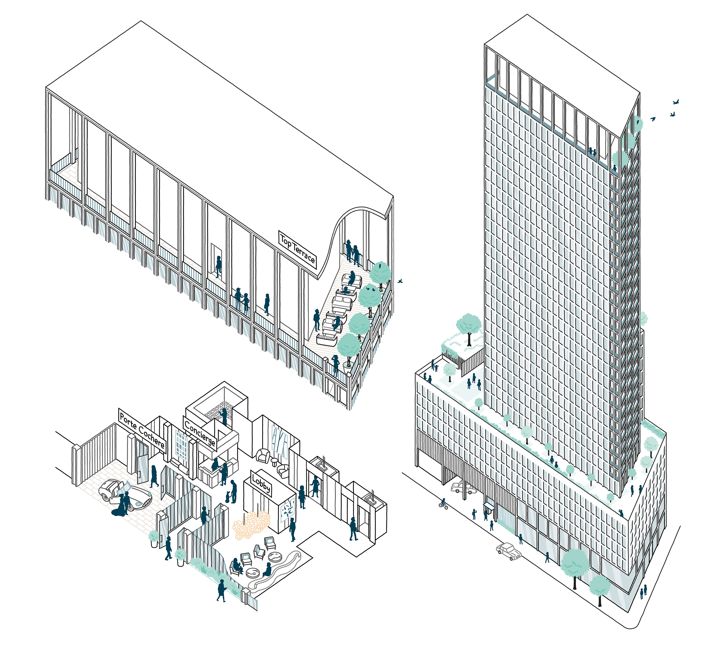 THOMAS VIEILLE, auteur et illustrateur.  