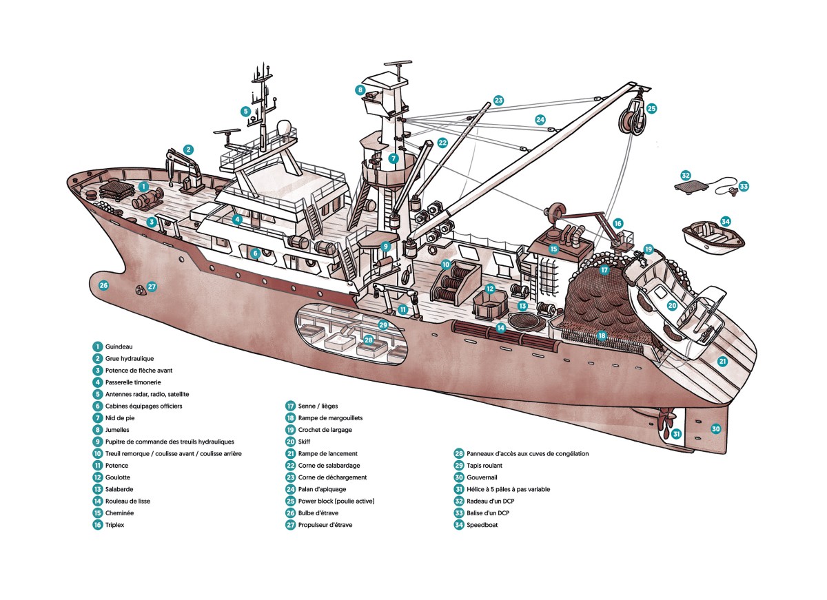 THOMAS VIEILLE, auteur et illustrateur.  