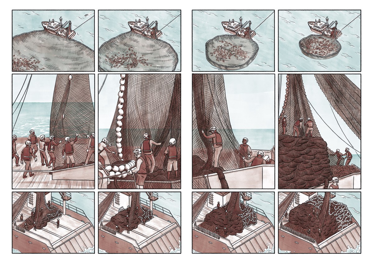 THOMAS VIEILLE, auteur et illustrateur.  