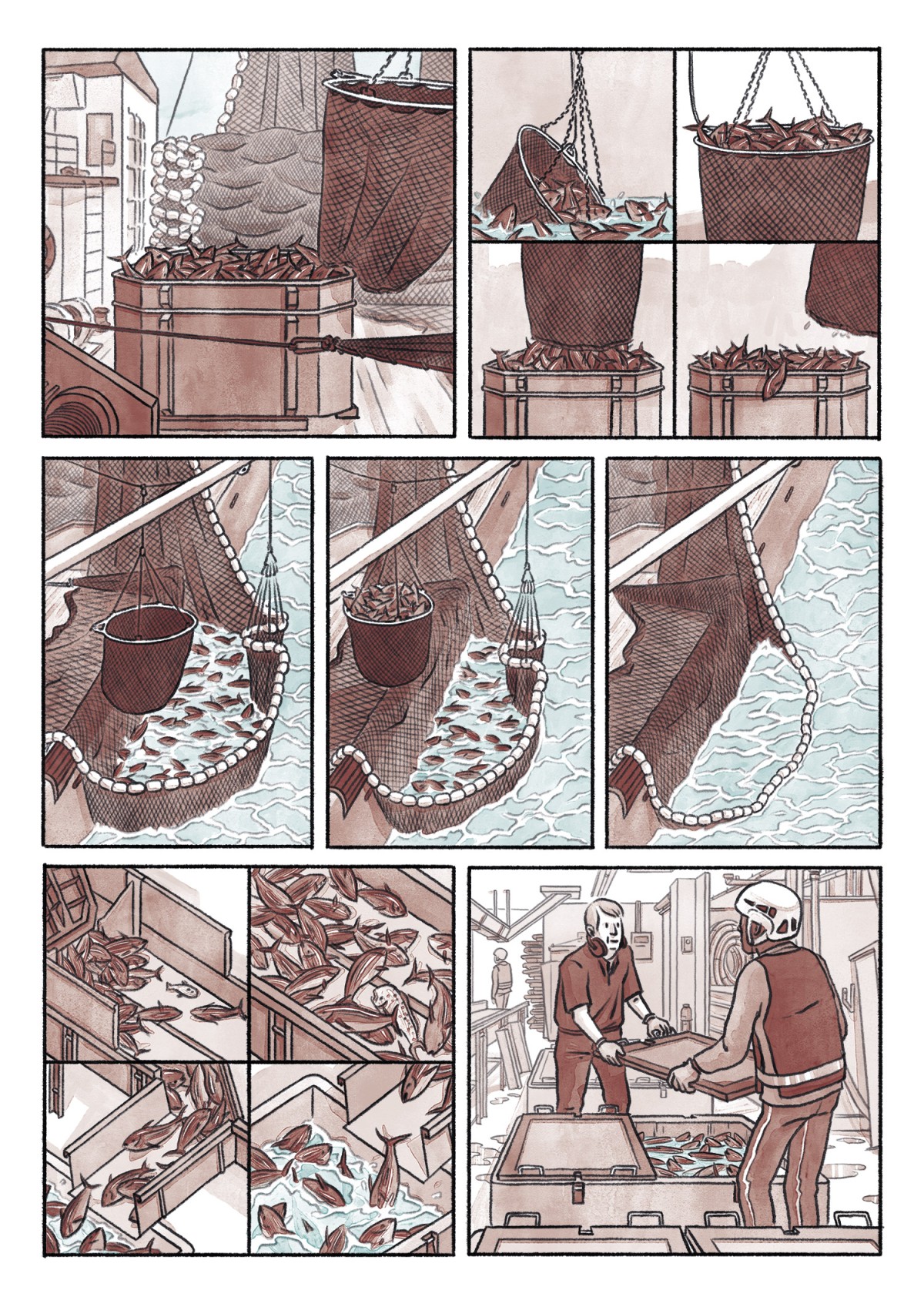 THOMAS VIEILLE, auteur et illustrateur.  