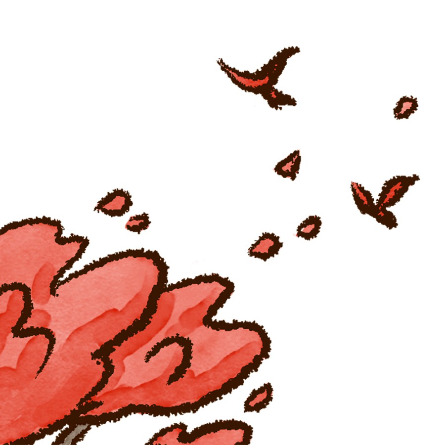 THOMAS VIEILLE, auteur et illustrateur.  