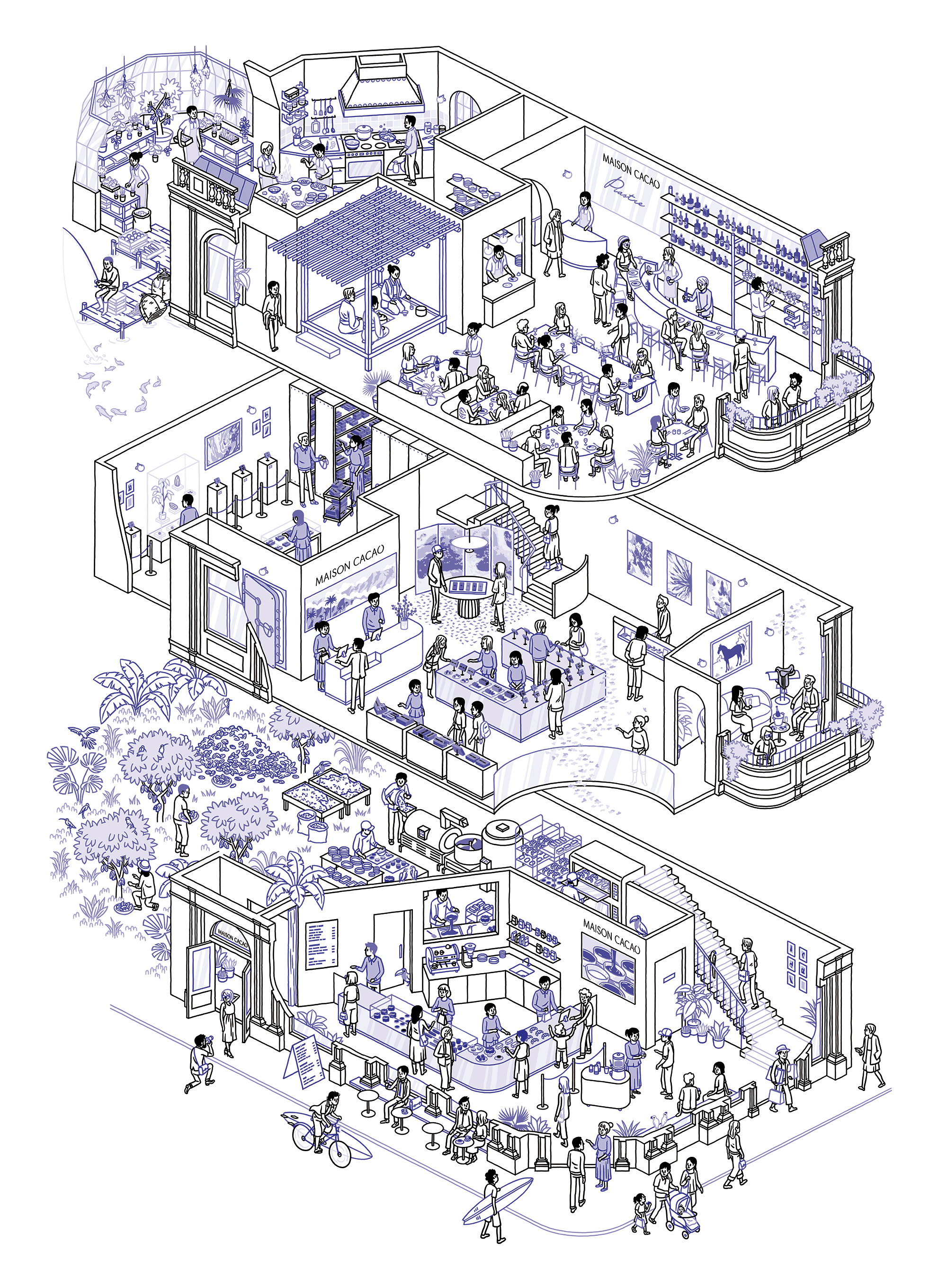 THOMAS VIEILLE, auteur et illustrateur.  