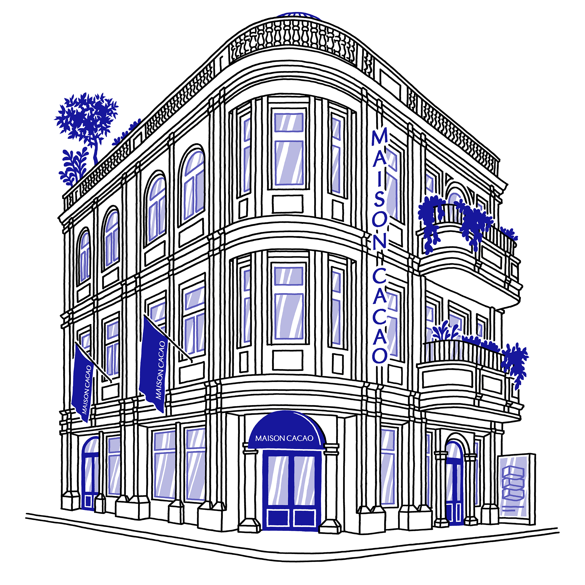 THOMAS VIEILLE, auteur et illustrateur.  