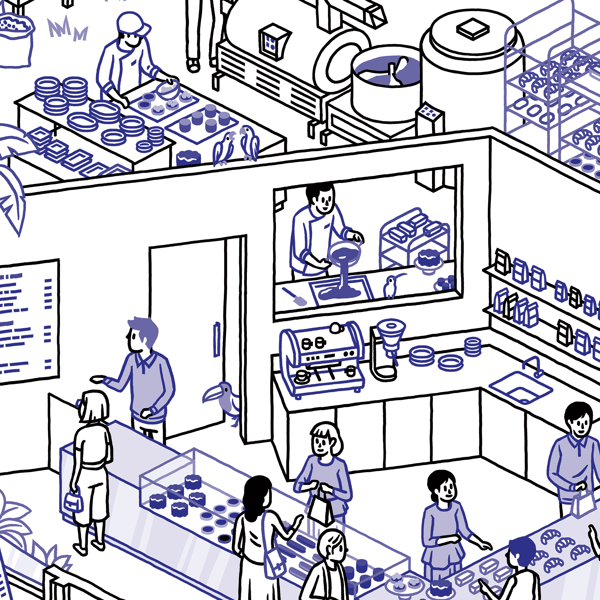 THOMAS VIEILLE, auteur et illustrateur.  