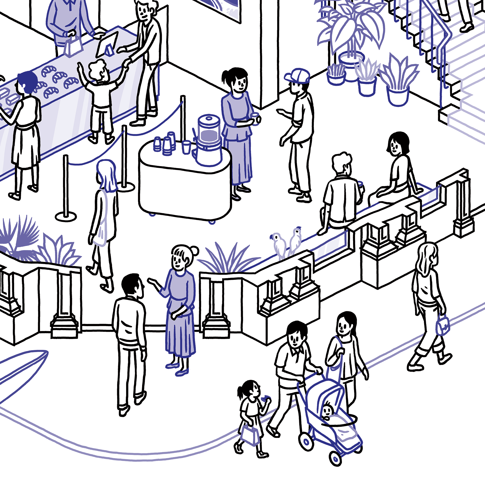 THOMAS VIEILLE, auteur et illustrateur.  