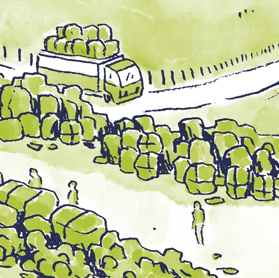 THOMAS VIEILLE, auteur et illustrateur.  