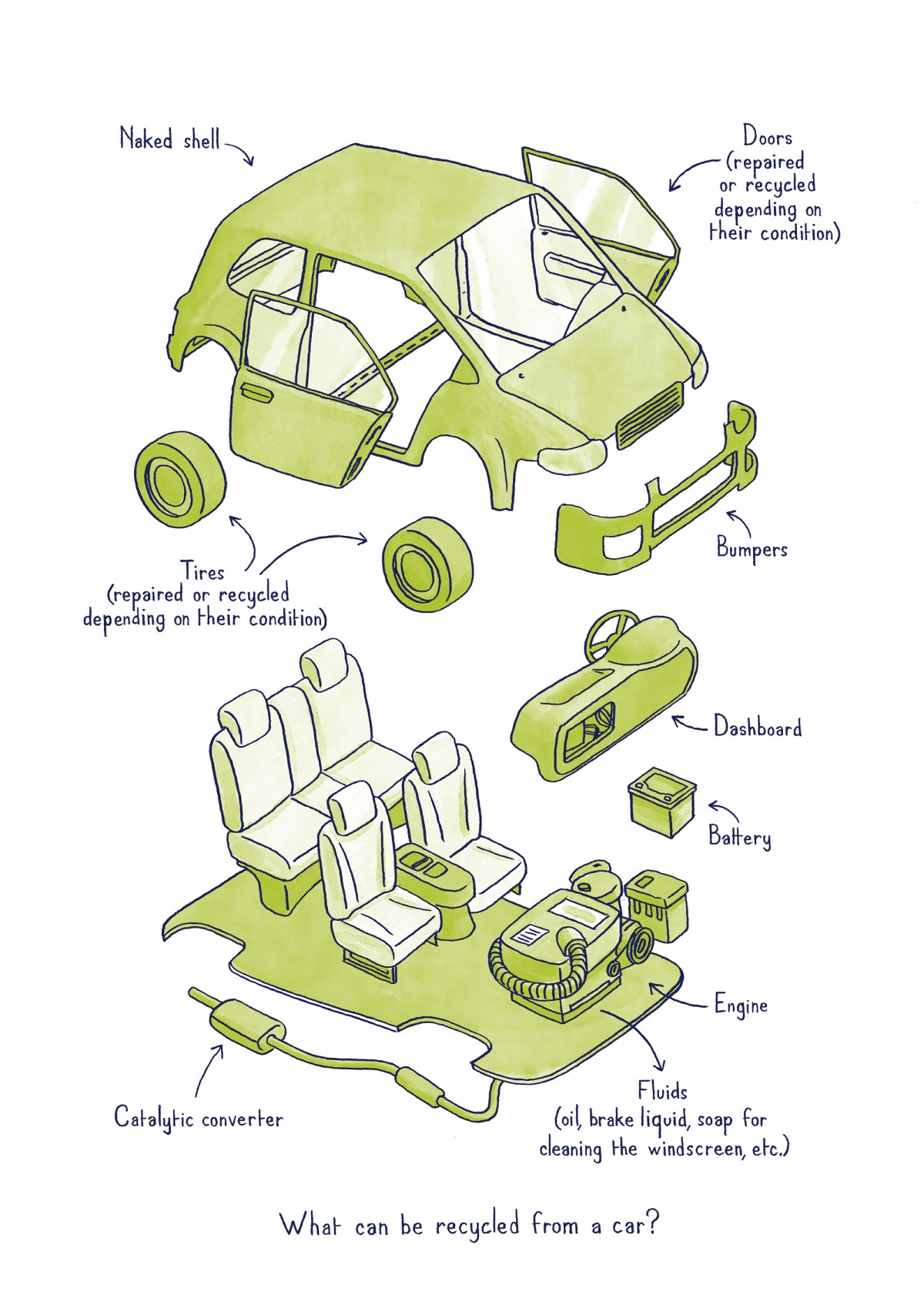 THOMAS VIEILLE, auteur et illustrateur.  