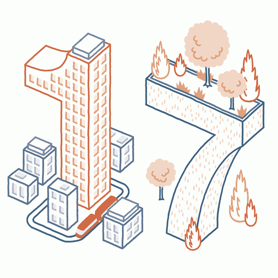 THOMAS VIEILLE, auteur et illustrateur.  